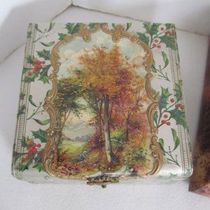 Victorian Celluloid Jewelry Box Silk Lined Vanity Box Jewelry Box White Birch